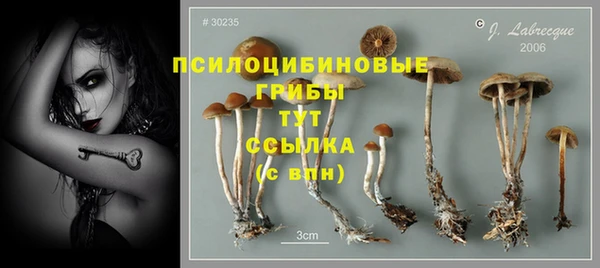 мяу мяу кристалл Каменка